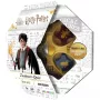 Harry Potter tovenaarsquiz, quizspel