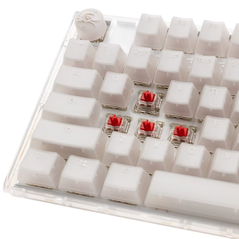 Ducky One 3 TKL toetsenbord gaming USB QWERTY Engels wit