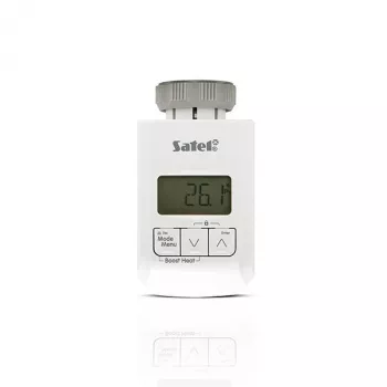 Thermostaat BELAIDIS ART-200 ABAX2 36461