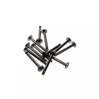 Schroeven Lian Li SC-T31B — set met 12 montageschroeven voor pc-componenten