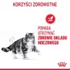 Nassfutter voor katten Royal Canin Urinary Care volwassen gevogelte 85 g zak (12-pack)
