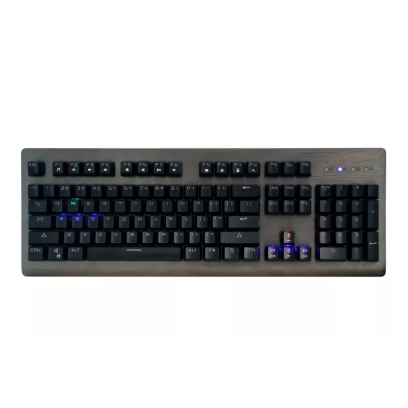 Media-Tech Cobra Pro Inferno MT1253 mechanisch gamingtoetsenbord, USB, verlicht, US-indeling