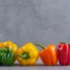 PNOS zaadmengsel zoete paprika, 0,6 g