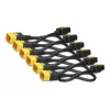 APC stroomkabelset (6 stuks), vergrendeling, C19 naar C20, 1,8 m, blauw, 1,8 m, C19-koppeling, C20-koppeling