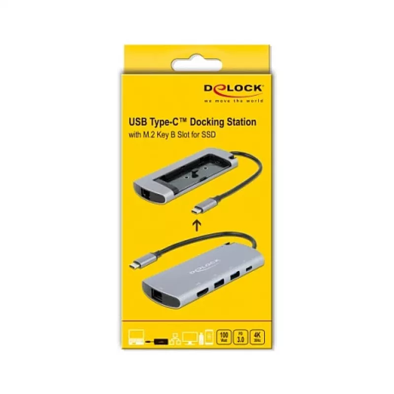 Dockingstation DeLOCK USB Type-C dockingstation met M.2-slot