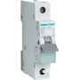 Hager MBS125. Nominale stroom: 25 A. Type: B-karakteristiek, aantal modules (max.): 1 module(s). Breedte: 17,5 mm, diepte: 70 mm, hoogte: 83,4 mm (MBS125)