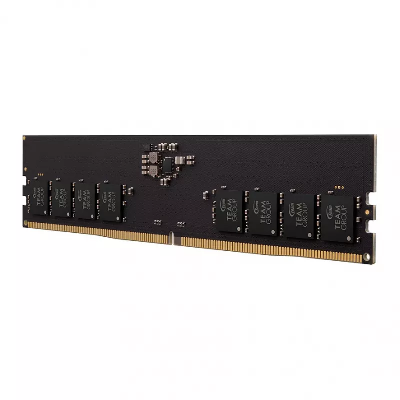 Team Group Team Elite - DDR5 - module - 32 GB - DIMM 288-pins