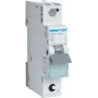 Hager MBS106. Nominale stroom: 6 A, netfrequentie: 50/60 Hz. Type: B-type, aantal modules (max.): 1 module(s). Breedte: 17,5 mm, diepte: 70 mm, hoogte: 83,4 mm (MBS106)