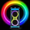 Draagbare luidspreker MANTA SPK0601B100, 100 W, Bluetooth, karaoke, draadloze microfoon, accu, equalizer, discolicht