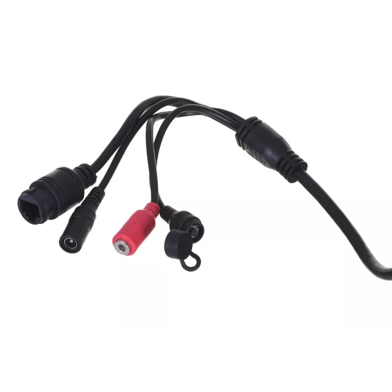 Foscam D4Z Bulb IP-beveiligingscamera binnen & buiten 2304 x 1536 pixels plafond