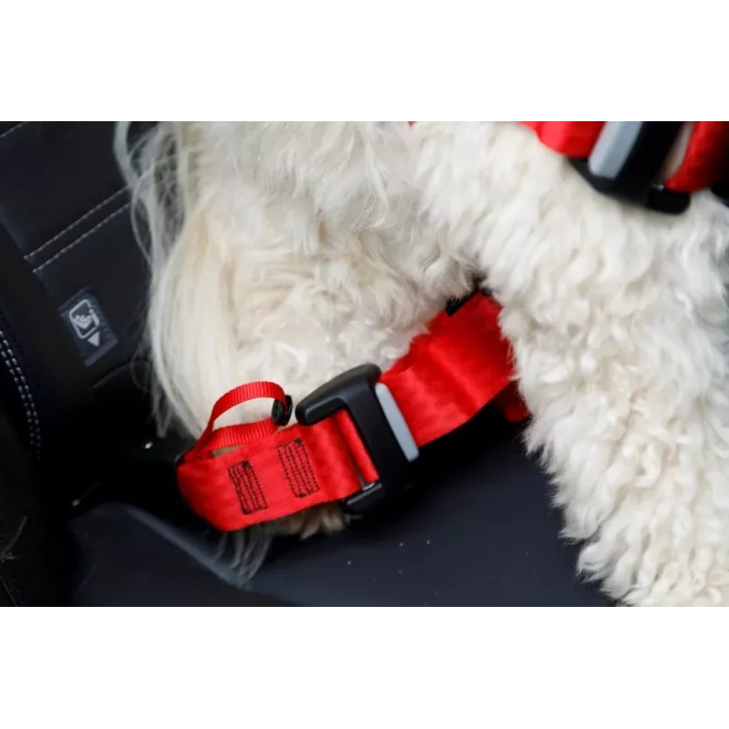 Hondentuig ZOLUX TRAVEL SAFE M, maat M, rood