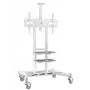 Tv-standaard ONKRON TS1881-W voor 50–86 inch tv, wit, vrijstaande universele steun
