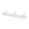 Kabelmanagement-paneel Digitus DN-10 ORG-1U