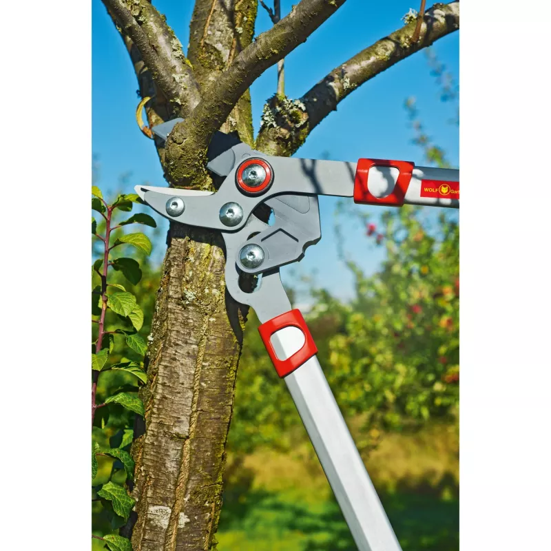 Takenschaar WOLF-Garten POWER CUT RS 650 BASIC PLUS