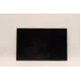 Lenovo 5D10V82406 16,0 inch LCD-display (AUO B160UAN03.2)
