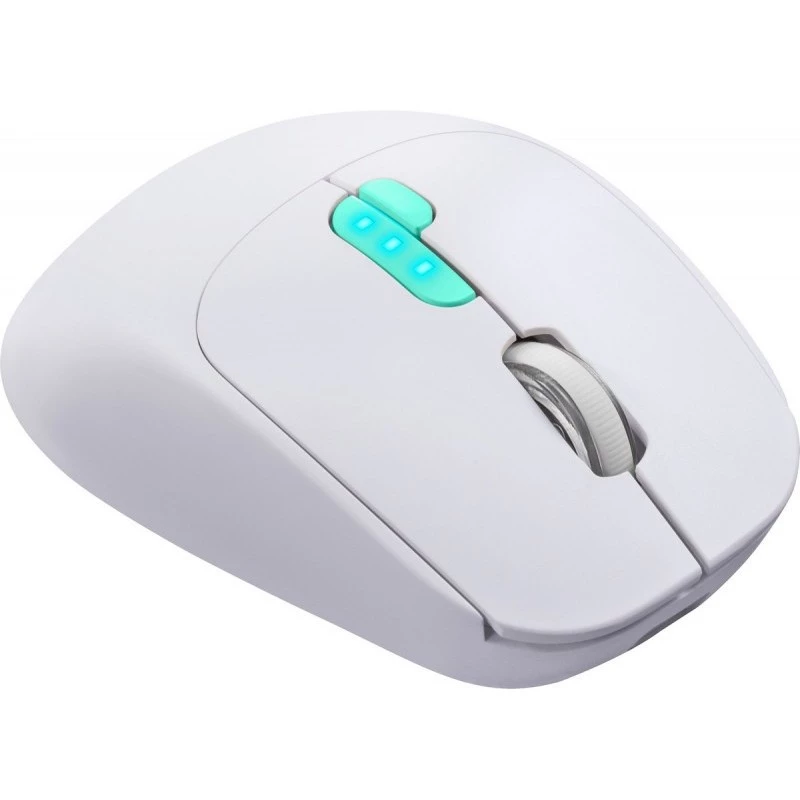 Muis Defender NITTA MM-307 RF+BT OPTISCH 1600dpi 6T WIT