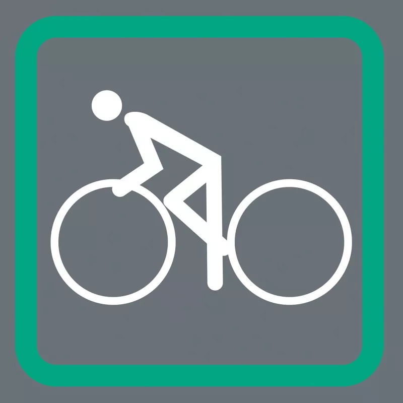 Fietsgereedschap Wera 05004171001