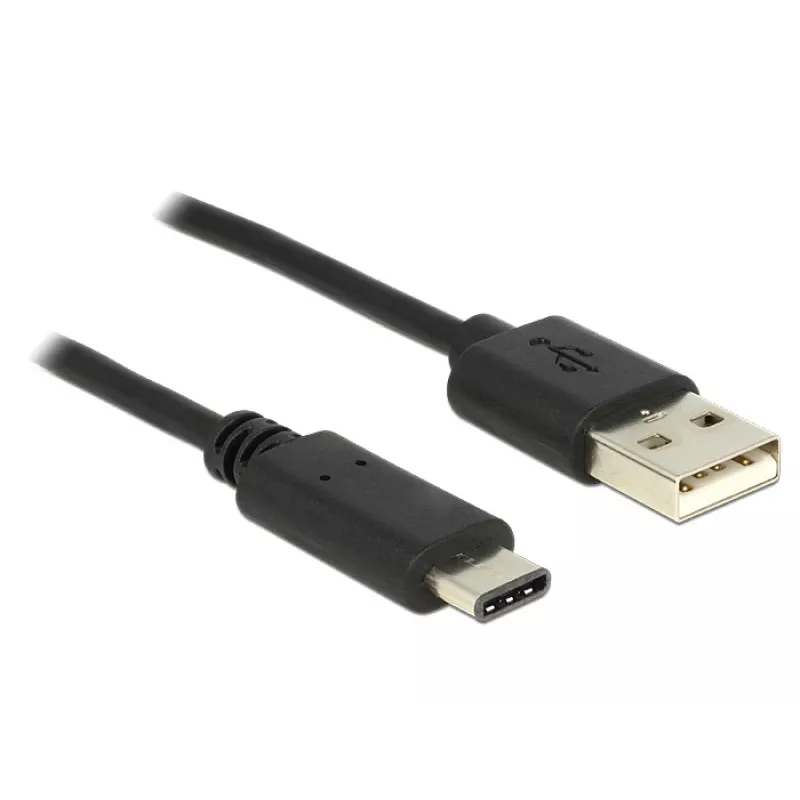 USB-kabel DeLOCK 0,5 m USB2.0-A USB2.0-C