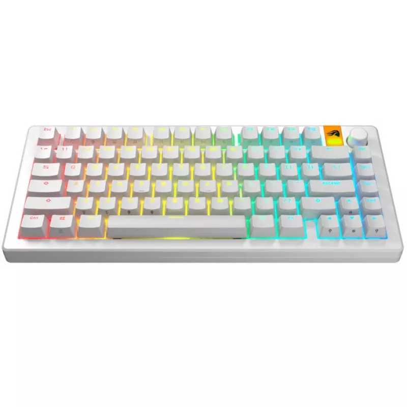 GLORIOUS GPBT Backlit Keycaps — PBT wit, ANSI-layout