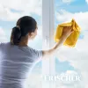 Frischer glasreiniger met antiaanslagfunctie 1 l