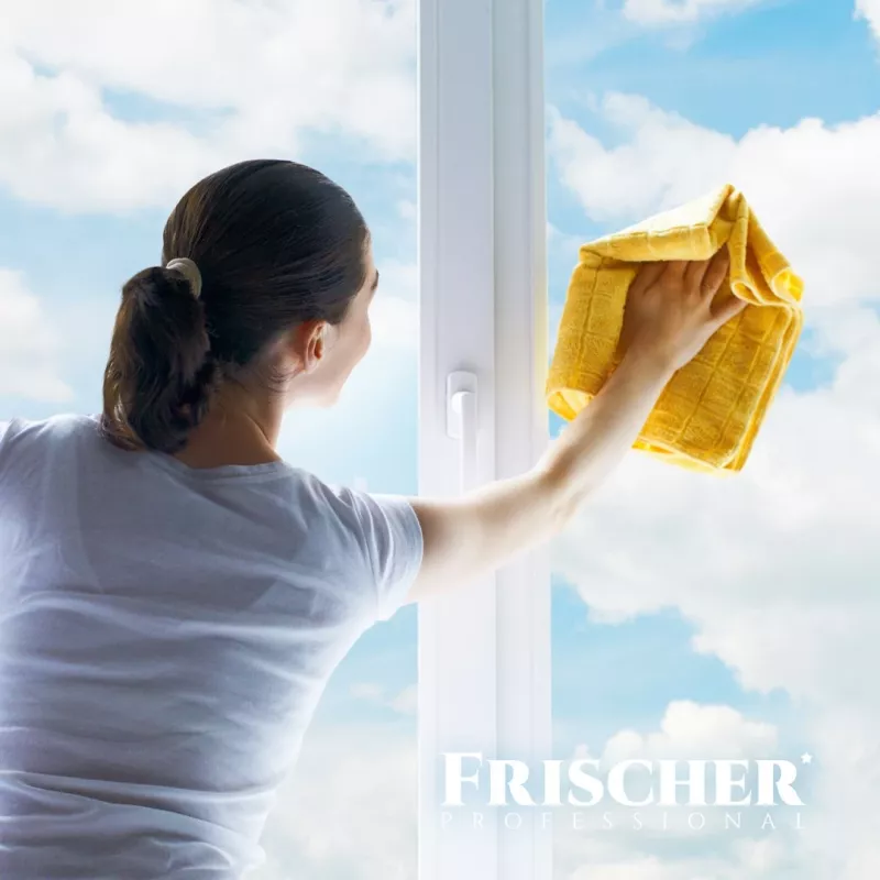 Frischer glasreiniger met antiaanslagfunctie 1 l
