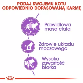 ROYAL CANIN Sterilised 37 - droogvoer voor katten - 10 kg