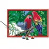 Ravensburger schilderen op nummer - kleurrijke papegaaien