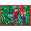Ravensburger schilderen op nummer - kleurrijke papegaaien