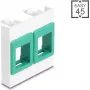 Wandmontage-moduleframe 45x45 mm DELOCK Easy 2x keystone-houders wit/groen