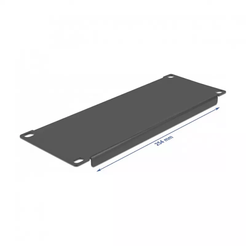 Blindplaat DeLOCK 10 inch netwerkkast 66661