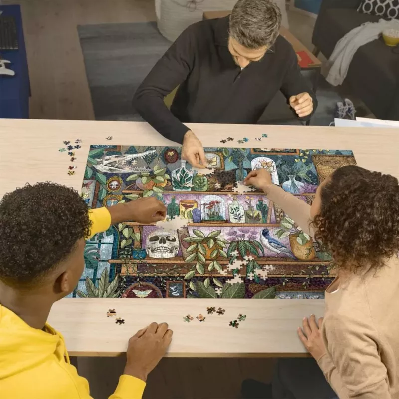 Puzzel Ravensburger A Witch's Favorite Things — 2000 stukjes