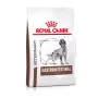 ROYAL CANIN Gastrointestinal - droogvoer voor honden - 2 kg