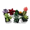 Lego Icons 10309 vetplanten