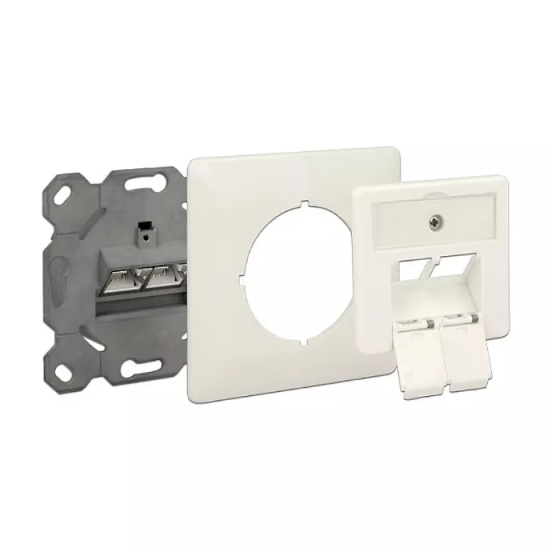 Netwerkdoos RJ-45 DeLOCK 86195