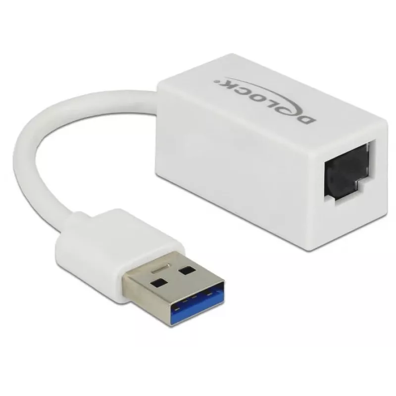 DeLOCK 65905 USB Type-A naar Gigabit LAN-netwerkadapter, wit