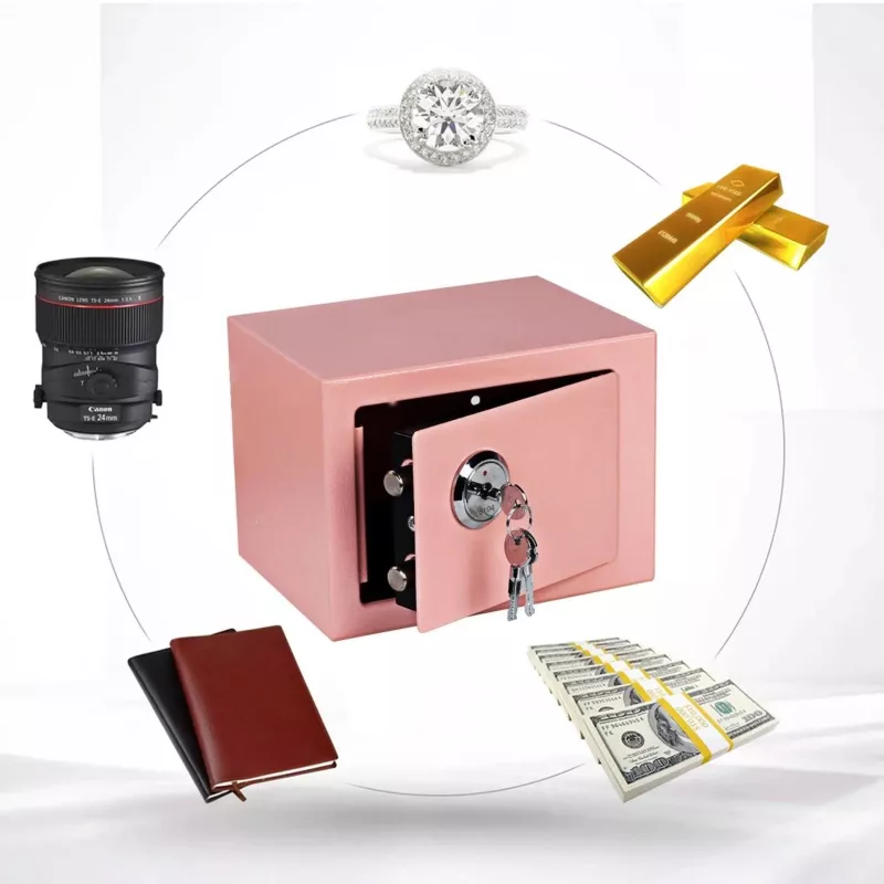 Extralink Home | huissafe | kantoor, sleutelkluis, veiligheidssafe, roze, S-404