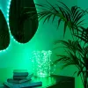 LED-slinger Twinkly TWD200STP-TEU meerkleurige binnenstrip, 5 cm afstand, IP20, transparante kabel