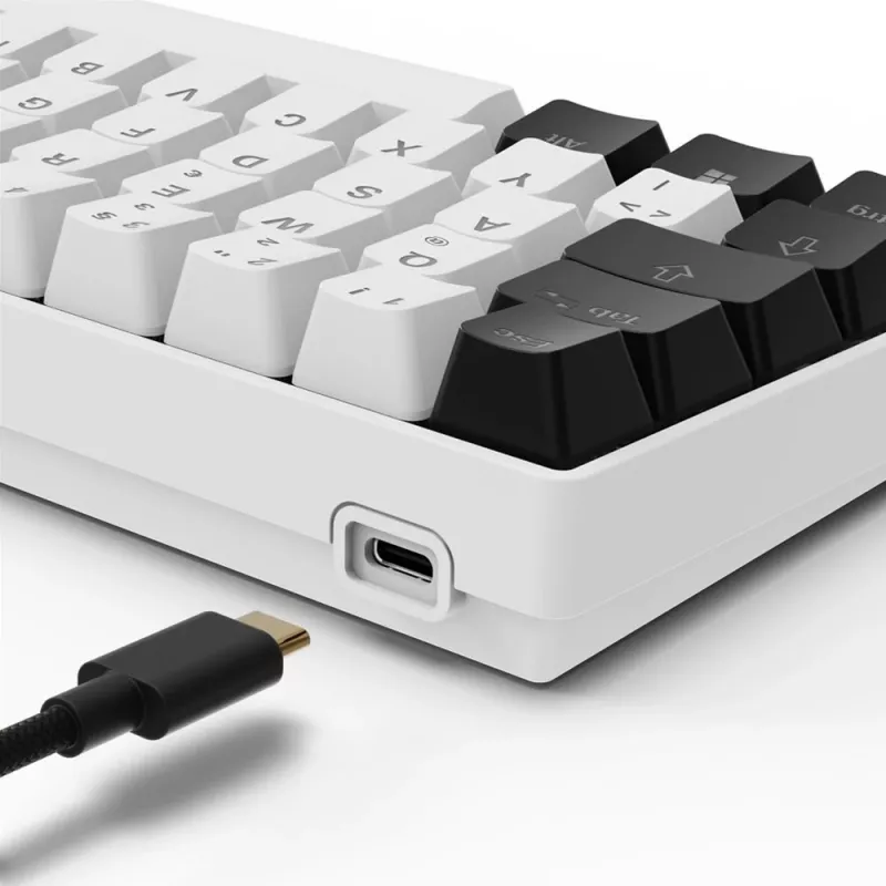 Sharkoon SGK50 S4 toetsenbord Home USB QWERTZ Duits wit RGB LED 60%