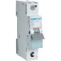 Hager MCS120 Leidingbeveiligingsschakelaar C-type 1-polig 1 module-eenheid (MCS120)