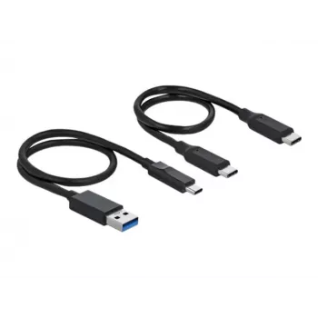 Delock M.2 dockingstation - interfaceadapter - M.2 NVMe Card - USB 3.2 (Gen 2) - zilver