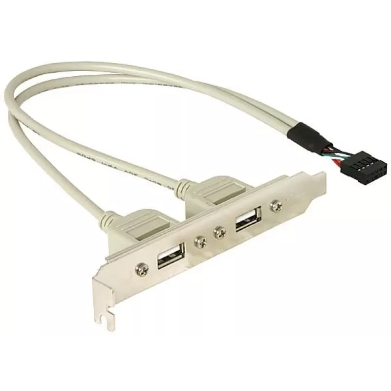 Slotbracket 1x interne USB 5-pin naar 2x externe USB 2.0 DeLOCK 71000