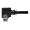 StarTech.com USBAB2MR USB 2.0 A naar haakse B-kabel, male/male, 2 m, zwart