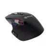 Draadloze muis Tellur TLL491261 USB