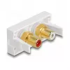 DeLOCK Easy 45 contactdoos 2 x RCA wit ABS