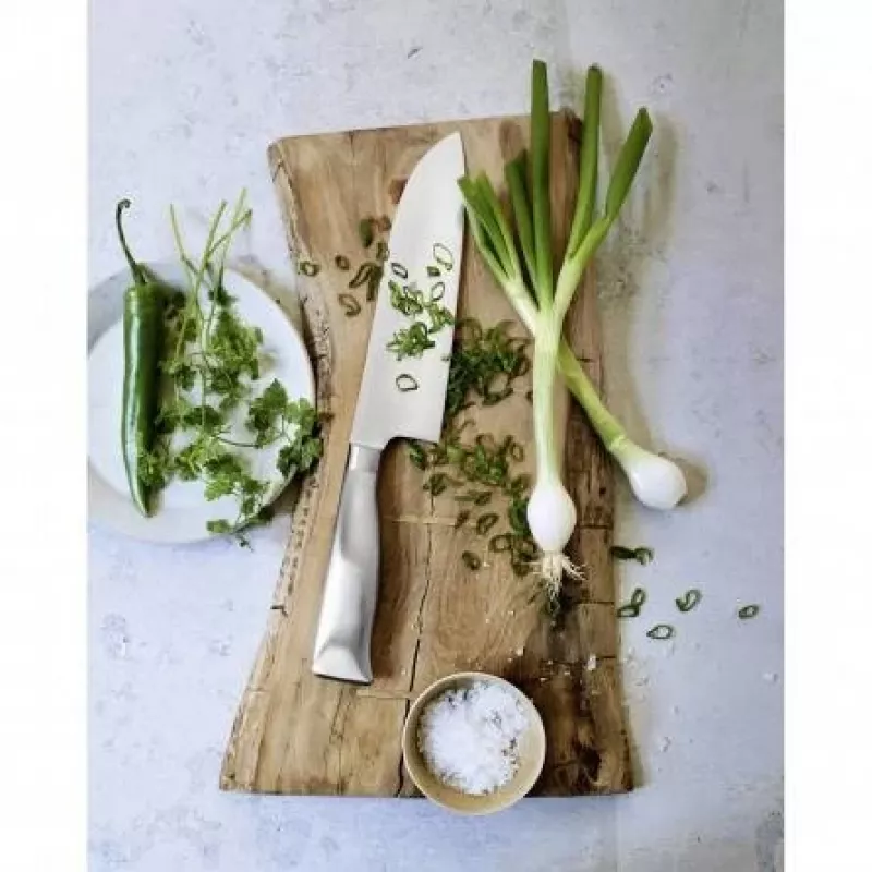 WMF Grand Gourmet 1.889.586.032 filetmes, roestvrij staal, 16 cm