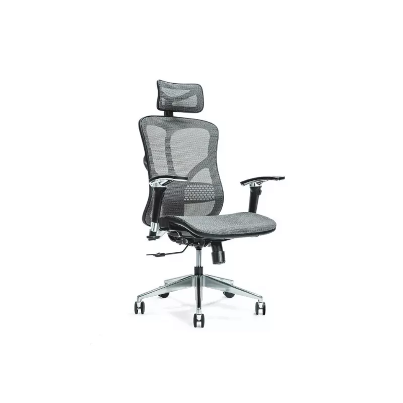 Ergonomische bureaustoel ERGO 500 grijs