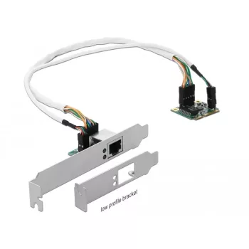 DeLOCK Mini PCIe I/O PCIe half size 1 x Gigabit LAN Low Profile - netwerkadapter - PCIe Half Mini Card - Gigabit Ethernet x 1 (95265)