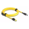 Delock kabel RJ45-stekker Cat.6 naar Mini I/O 8 pin D-Form Type 2 2 m (81251)