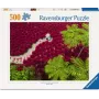 Ravensburger Puzzel Een zee van rood — 500 stukjes, kunst, vanaf 12 jaar