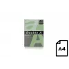 Kleurpapier Double A, 80 g, A4, 500 vel, Emerald